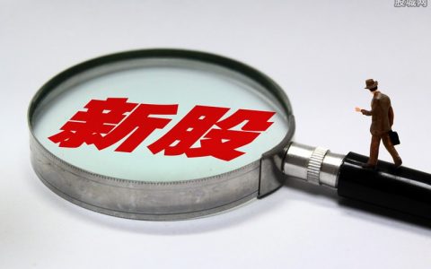 外盘试点期货公司